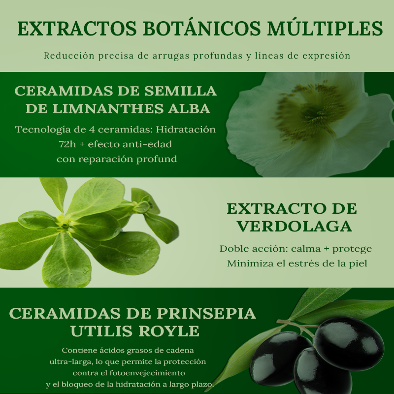Beneficios de la mascarilla facial BowBowBeauty Ingredientes de la mascarilla con fermento de bífida Modo de uso de la mascarilla facial BowBowBeauty Presentación de cinco mascarillas BowBowBeauty