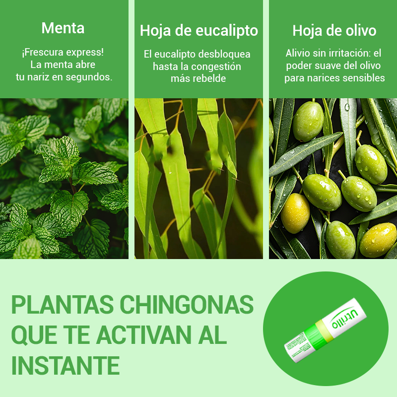 Ingredientes del inhalador aromático refrescante de menta