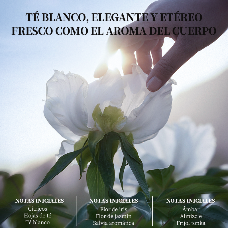 Aceite Capilar H5 en Spray – Fragancia Ligera y Reparación para el Cabello